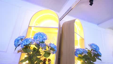 Elasummeer online show from January 2026 11:35:01 AM