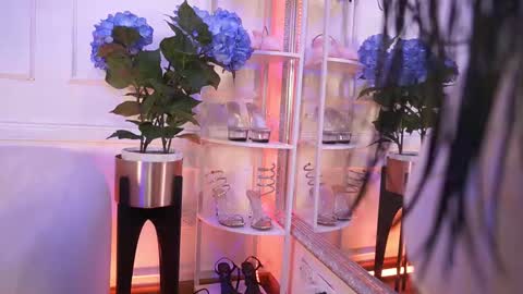 Elasummeer online show from February 2026 12:00:01 PM