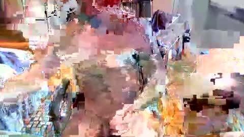 Snapshot of elbasca chatting on February 2026 12:12:01 PM elbasca online show from February 2026 12:12:01 PM