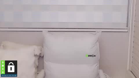 Snapshot of eleanore1 chatting on December 2025 08:51:02 AM eleanore online show from December 2025 08:51:02 AM