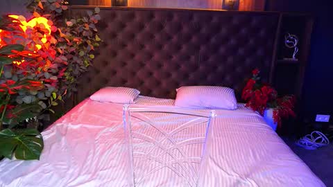 Snapshot of elegant_mysterious chatting on October 2025 08:29:01 PM elegant_mysterious online show from October 2025 08:29:01 PM