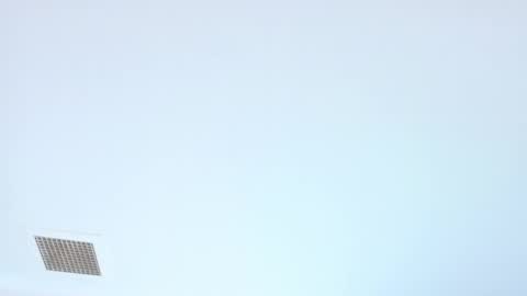 elektradoll1 online show from June 2026 12:44:02 PM