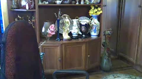 ElenaZed online show from March 2025 07:54:02 AM