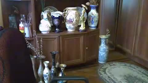 ElenaZed online show from October 2025 11:43:01 AM