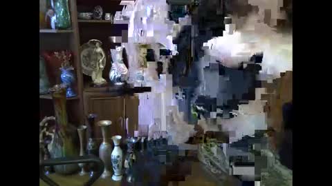 Snapshot of elenazed chatting on February 2026 08:29:02 AM ElenaZed online show from February 2026 08:29:02 AM