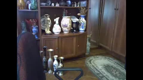 Snapshot of elenazed chatting on February 2026 08:10:01 AM ElenaZed online show from February 2026 08:10:01 AM