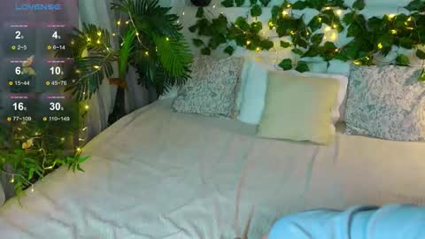 Elfa online show from February 2026 06:01:01 AM