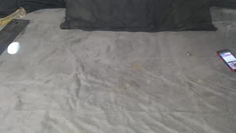 elgsslt online show from September 2025 01:47:02 PM