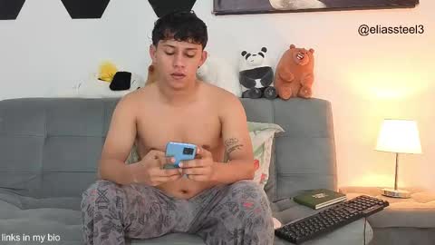 Snapshot of elias_steel1 chatting on December 2025 03:19:02 PM elias online show from December 2025 03:19:02 PM