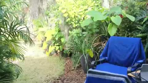 eliberator online show from January 2025 07:58:02 PM