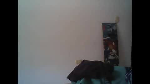 Rod online show from November 2025 12:07:01 PM