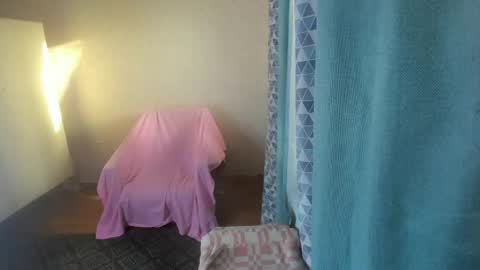 Elis online show from May 2026 11:29:01 AM