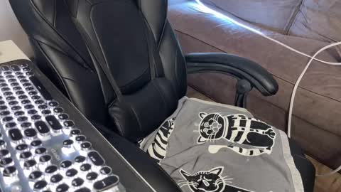 Snapshot of elisa_north chatting on March 2025 09:57:01 AM Elisa North online show from March 2025 09:57:01 AM