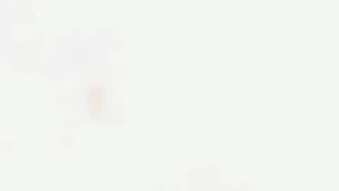 SINGLE PO online show from March 2026 03:24:01 AM