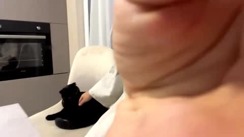 Alice online show from October 2025 03:14:01 PM