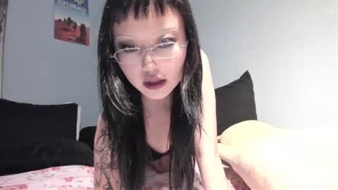 Elysia online show from November 2025 06:01:01 AM