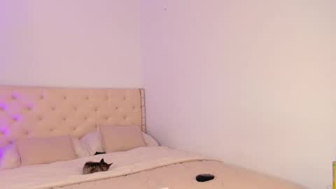 Michelle online show from March 2026 07:30:02 PM