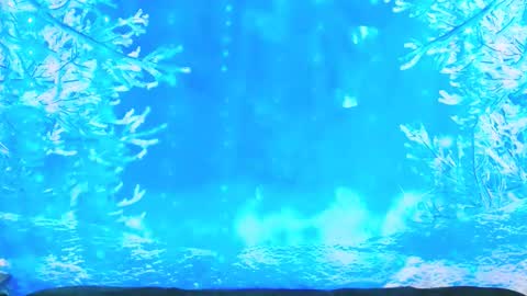 Ember Starleena online show from January 2026 03:49:02 PM