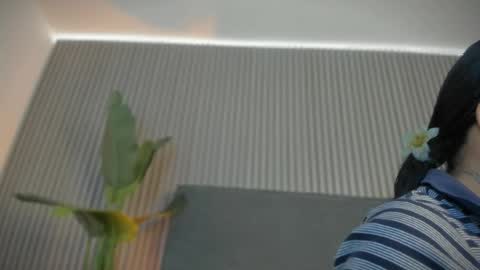 emelie_89 online show from May 2026 09:17:02 AM