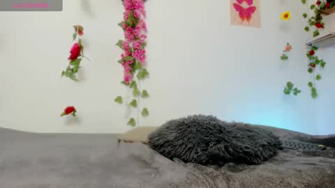 Emily  online show from February 2025 06:35:02 PM