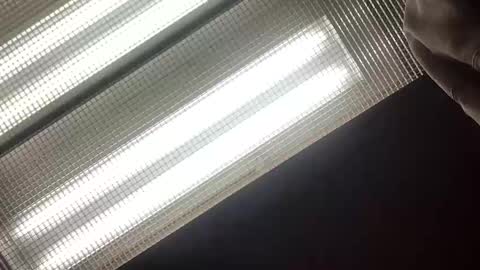 emilyclear online show from May 2026 08:21:02 AM
