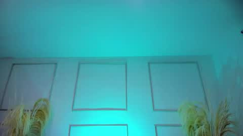 Snapshot of emilywillis8 chatting on October 2025 01:34:01 PM E M I L Y online show from October 2025 01:34:01 PM