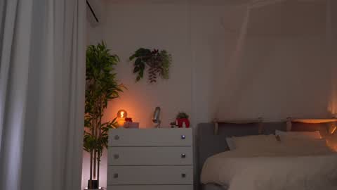    online show from December 2024 09:02:01 PM