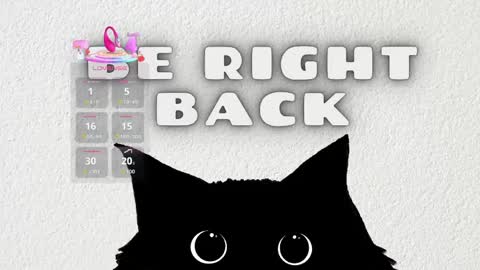   online show from May 2026 11:28:01 AM