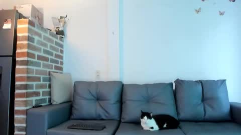 Emma Brant online show from February 2026 12:34:02 PM