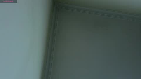    online show from May 2026 10:55:01 AM