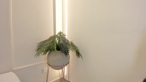 Snapshot of emmiily_z chatting on January 2025 02:04:01 AM Emmiily online show from January 2025 02:04:01 AM