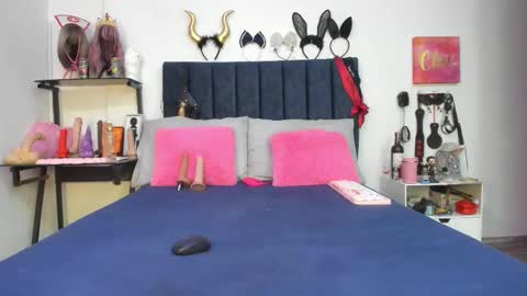          online show from December 2025 01:20:02 PM