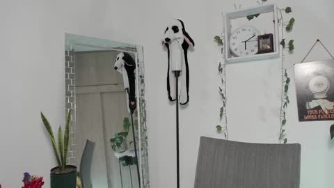 Emperatriz online show from January 2025 11:13:01 PM