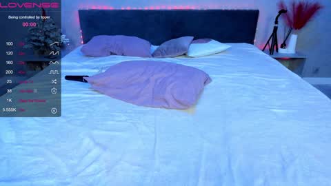 Snapshot of ericapreston chatting on January 2025 12:29:01 AM Erica online show from January 2025 12:29:01 AM