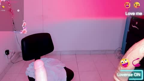 Snapshot of erikamontiel chatting on December 2024 06:56:01 AM Erika online show from December 2024 06:56:01 AM