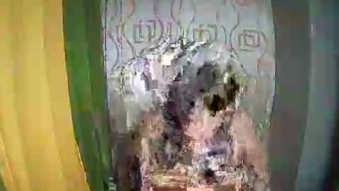 Ervana online show from February 2026 05:07:02 PM