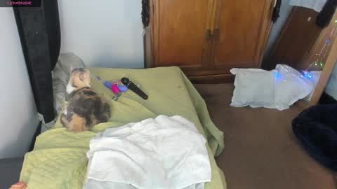 - E S T R E L L A  M I L F - online show from January 2025 04:50:01 AM