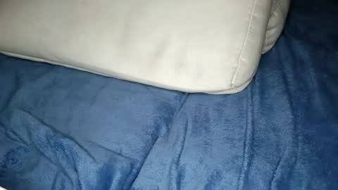 Snapshot of eva_foxe chatting on February 2026 05:44:02 PM Eva online show from February 2026 05:44:02 PM