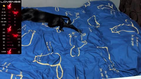 Eva online show from January 2025 01:01:01 PM