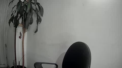Snapshot of evacollins12 chatting on December 2024 01:40:01 AM evacollins12 online show from December 2024 01:40:01 AM