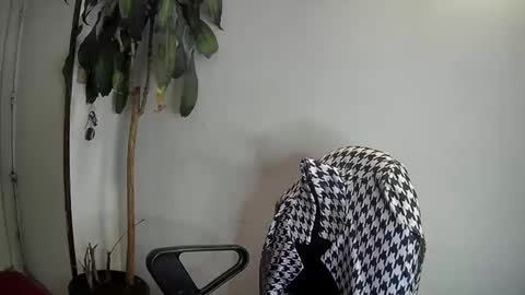 Snapshot of evacollins12 chatting on January 2025 03:46:01 AM evacollins12 online show from January 2025 03:46:01 AM