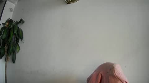 Snapshot of evacollins12 chatting on February 2025 07:50:02 PM evacollins12 online show from February 2025 07:50:02 PM