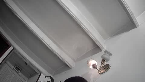 Snapshot of evacollins12 chatting on February 2025 12:36:02 AM evacollins12 online show from February 2025 12:36:02 AM