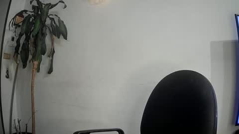 Snapshot of evacollins12 chatting on March 2025 02:41:02 AM evacollins12 online show from March 2025 02:41:02 AM