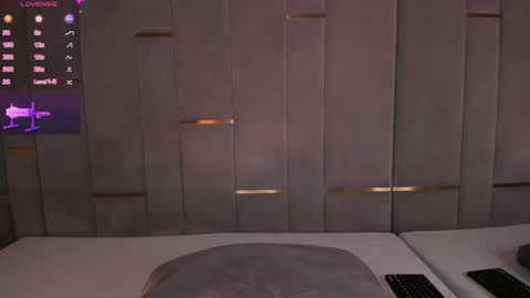 Snapshot of evalims chatting on January 2025 03:58:01 PM EVA online show from January 2025 03:58:01 PM