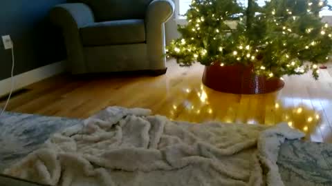 Everleighmae online show from December 2024 01:24:01 PM