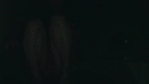 Snapshot of evermore8807 chatting on December 2025 04:07:02 AM evermore8807 online show from December 2025 04:07:02 AM