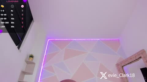 My name is Evie  nice to meet you  really get to know me better private is open  online show from December 2024 05:44:01 PM