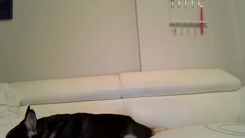 Snapshot of evillers1 chatting on December 2024 12:05:01 AM Badblondebunny online show from December 2024 12:05:01 AM