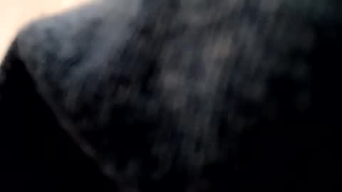 Snapshot of evocation514 chatting on January 2025 02:20:02 AM Evocation online show from January 2025 02:20:02 AM